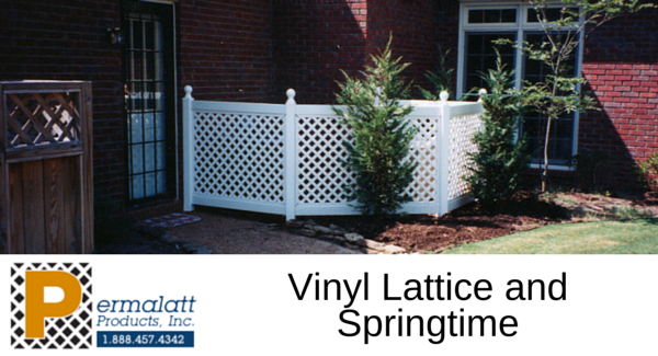 Vinyl Lattice and Springtime
