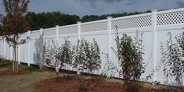 Vinyl Lattice at the Park