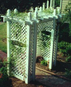 Grape Arbor Solutions with Vinyl Lattice