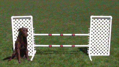 uses for lattice for horses and other pets 4