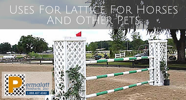 Uses For Lattice For Horses And Other Pets