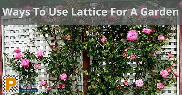 Ways to use lattice for a garden.