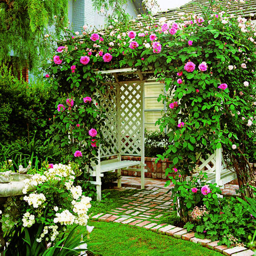 garden lattice ideas arbor