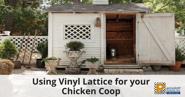 Using Vinyl Lattice for your Chicken Coop - 315(1)