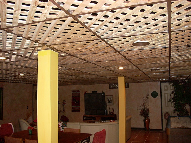 Can You Use Lattice for Your Ceiling 2